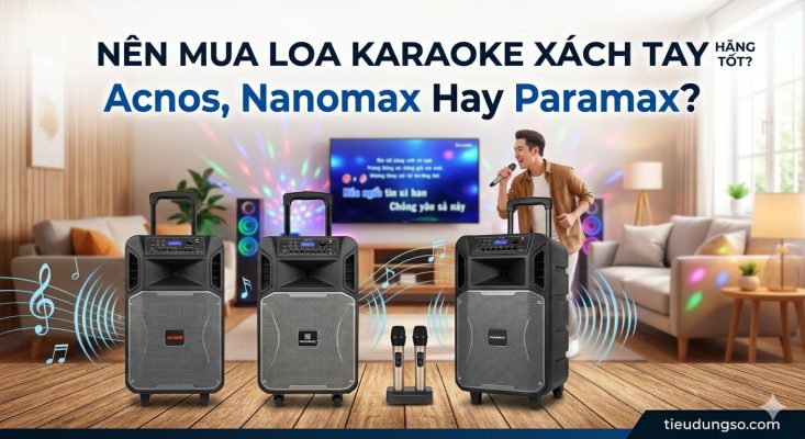 Nên Mua Loa Karaoke Xách Tay Hãng Nào Tốt Acnos, Nanomax Hay Paramax